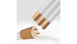 لامپ مهتابی 60 سانت 15 وات برند ویمکس نور یخی کد V-T860R-15-15W-VAMAX-YAKHI