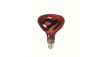 لامپ مادون قرمز 250 وات برند نور کد NIR 250w